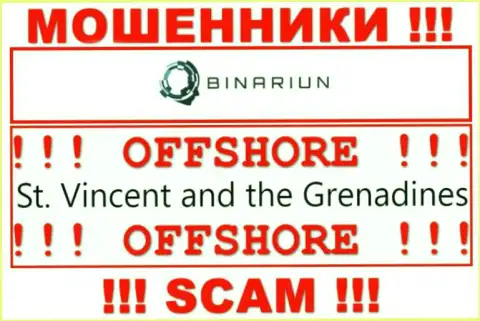 Сент-Винсент и Гренадины - вот здесь юридически зарегистрирована преступно действующая компания Binariun Net
