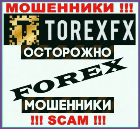 Сфера деятельности ТорексФХ: Forex - хороший заработок для воров